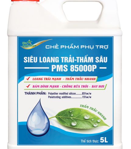 SIÊU LOANG TRÃI – THẤM SÂU PMS 85000P