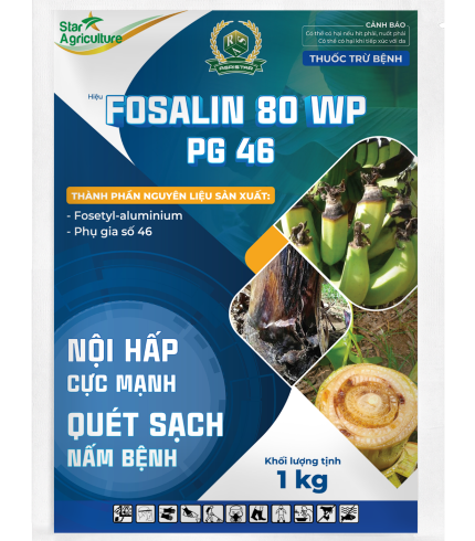 FOSALIN 80 WP PG 46