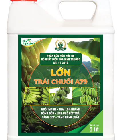 LỚN TRÁI CHUỐI A79