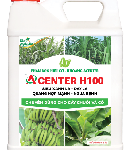 ACENTER H100