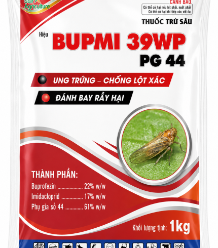 BUPMI 39WP PG 44