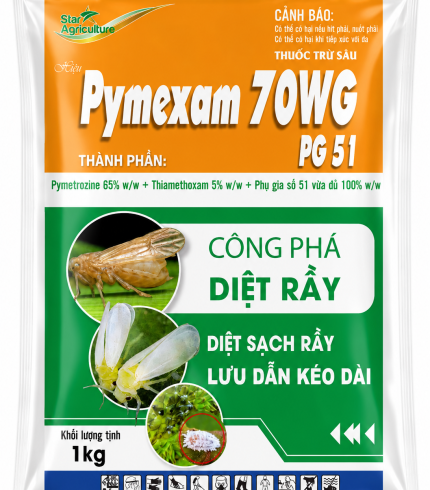 PYMEXAM 70WG PG 51